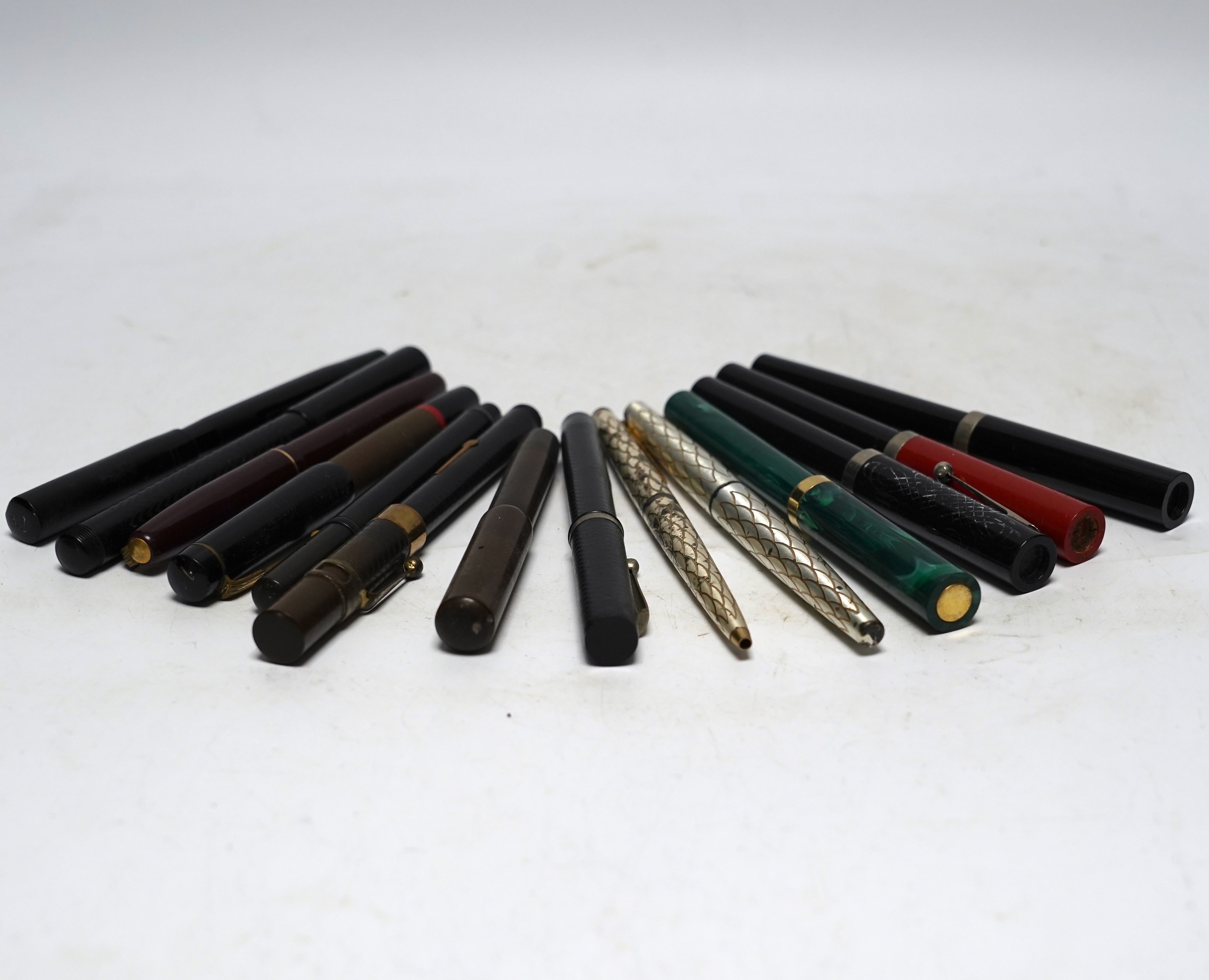 Fourteen assorted fountain pens.